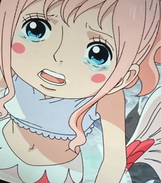 しらほし姫は、ルフィーから、最初は「よわむし」と言われていましたが