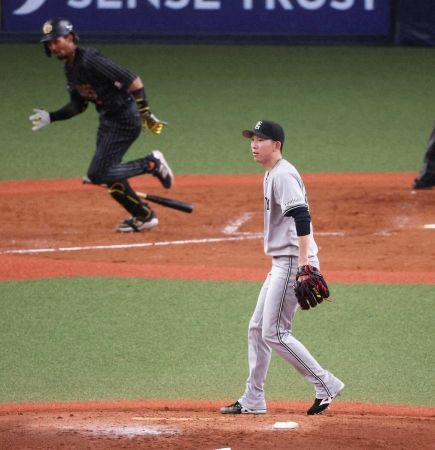 Amazon | 千葉 マリーンズ 平沢大河 バット NPB | ノーブランド