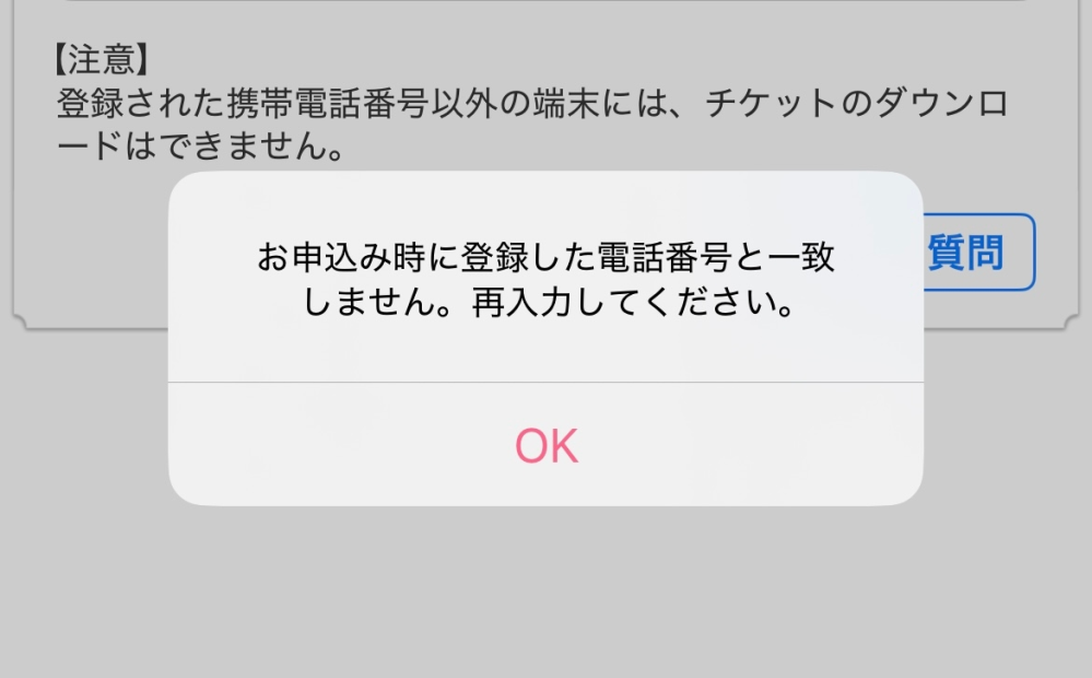イープラスのスマチケで電話番号認証をしようとしたところ画像のように