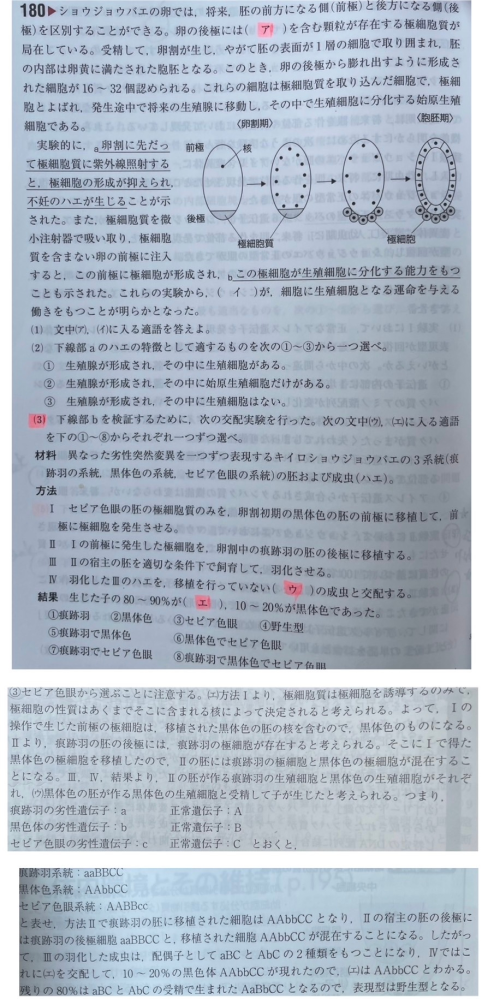 ペクトリアーゼY 23 _ ペクトリアーゼ Y 23 役割 : サトイモのカルスから単離したプロトプラストからの植物体再生 – EXKM