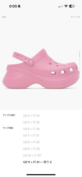 急いでます。靴のサイズについて質問です。US11＝IT41のサイズって日本 