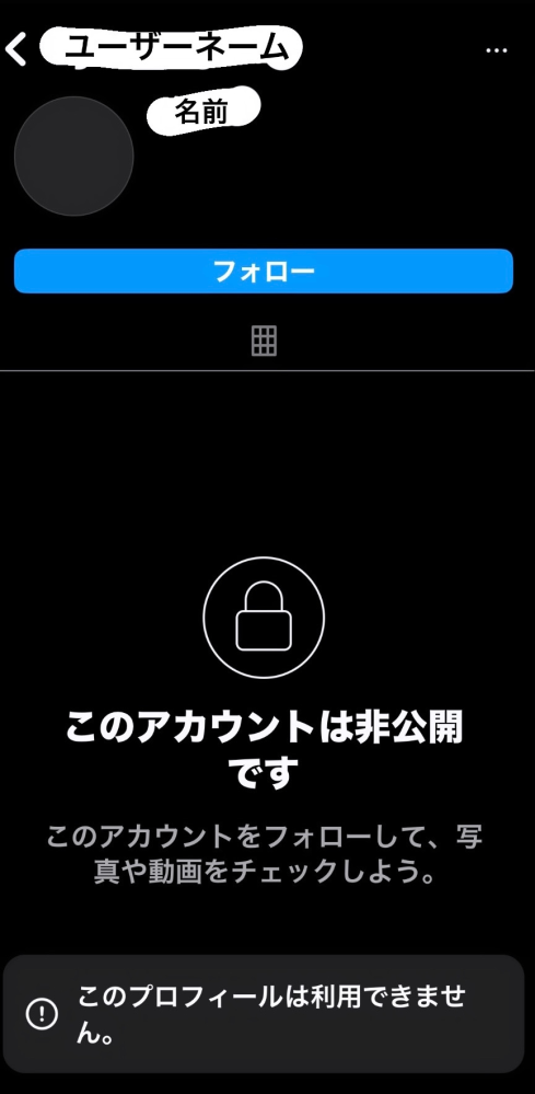 インスタでプロフィールを覗きに行ったらこのような感じになってました