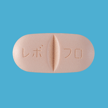 真っ先に【大きい】から連想するものは何ですか？