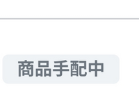 【Boncohari様ご売約済】※他の方は購入しないでください にじさんじのオフィシャルストアで注文済みがずっと商品手配中