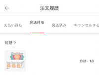 ひろさん専用/発送待ち POPMARTの公式サイトでラブブを予約注文で8/13に購入しまし