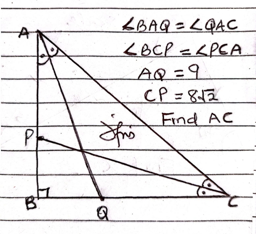 数学で、z[x]という表記を見かけますがどういう意味ですか