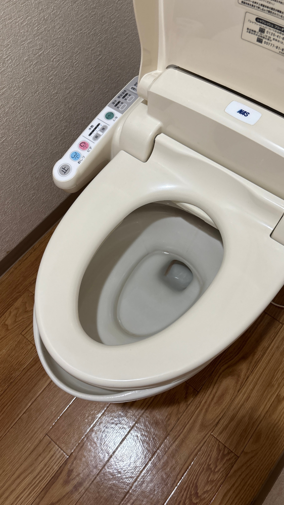 トイレの便座がガタついてズレているのが気になって、便座の蓋に載って 