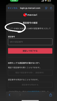 専用品と成ります。 ご購入後、発送致します。 セイキ SEIKI セイキ 風丸 玄関引戸用網戸 SKM-1 引戸式パネル