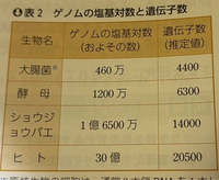 ネイチャー　ヒトゲノム特集号　2冊組 ネイチャー ヒトゲノム特集号 2冊組