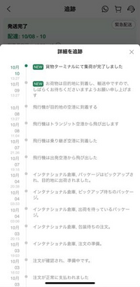 ダン　　※他の方が購入してもキャンセルして発送は致しません。 SHEINで商品頼んで、10月6日から8日までに届くとなってたんです