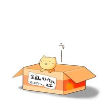 よくアニメやドラマで犬や猫がダンボール箱に入れられていて拾ってくだ Yahoo 知恵袋