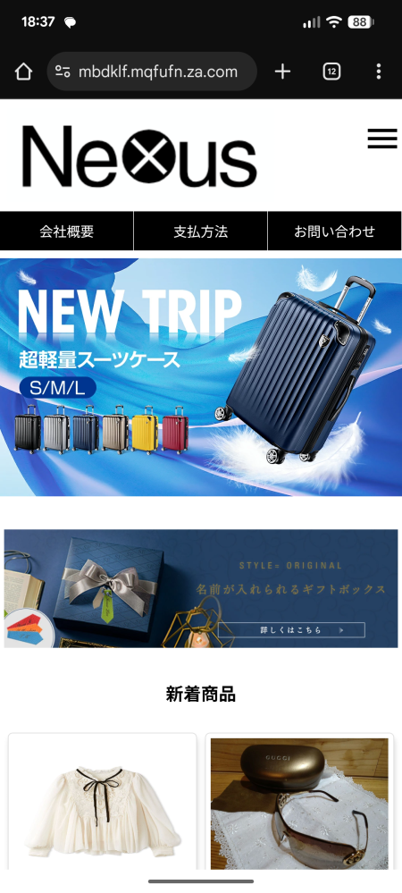 tinky7様 ご購入予定品 このネットショッピングは詐欺の可能性がありますか？ - ほしいゲーム