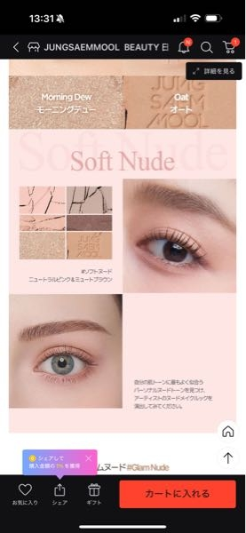 シェーディング、ハイライト、チーク、アイシャドウすべて1つになった