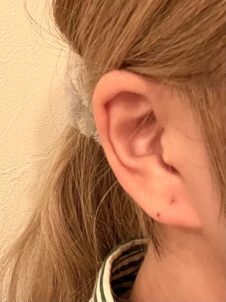 3ヶ月ほど前に開けたホールの位置が上すぎる気がしていて新たに開けよ
