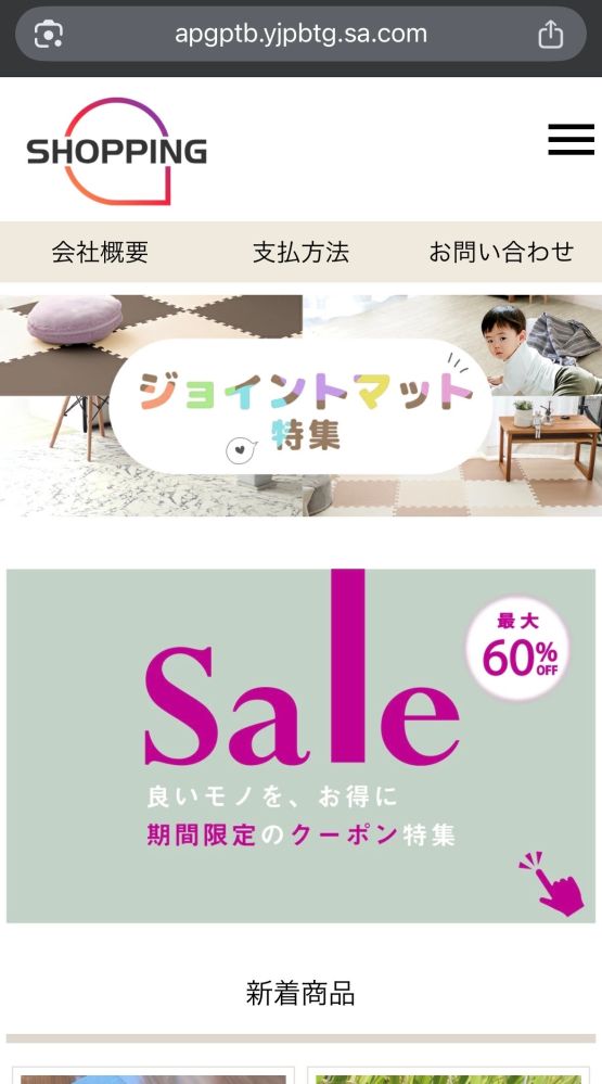 欲しい商品について探しているとこのようなサイトを見つけました。この