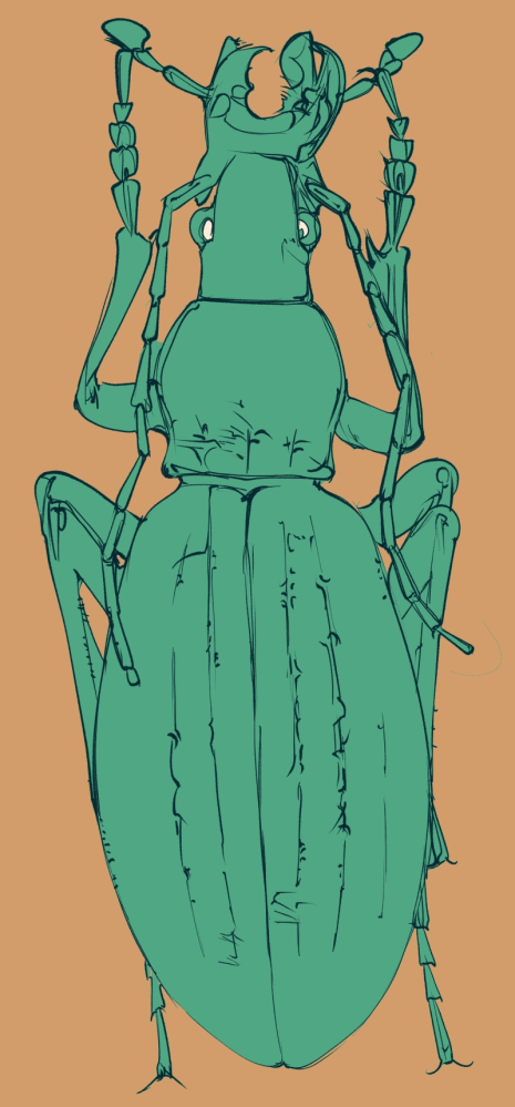 ☆おはようごじゃいマシユマロ！昆虫カテのみなしゃん！寒い如月の水曜