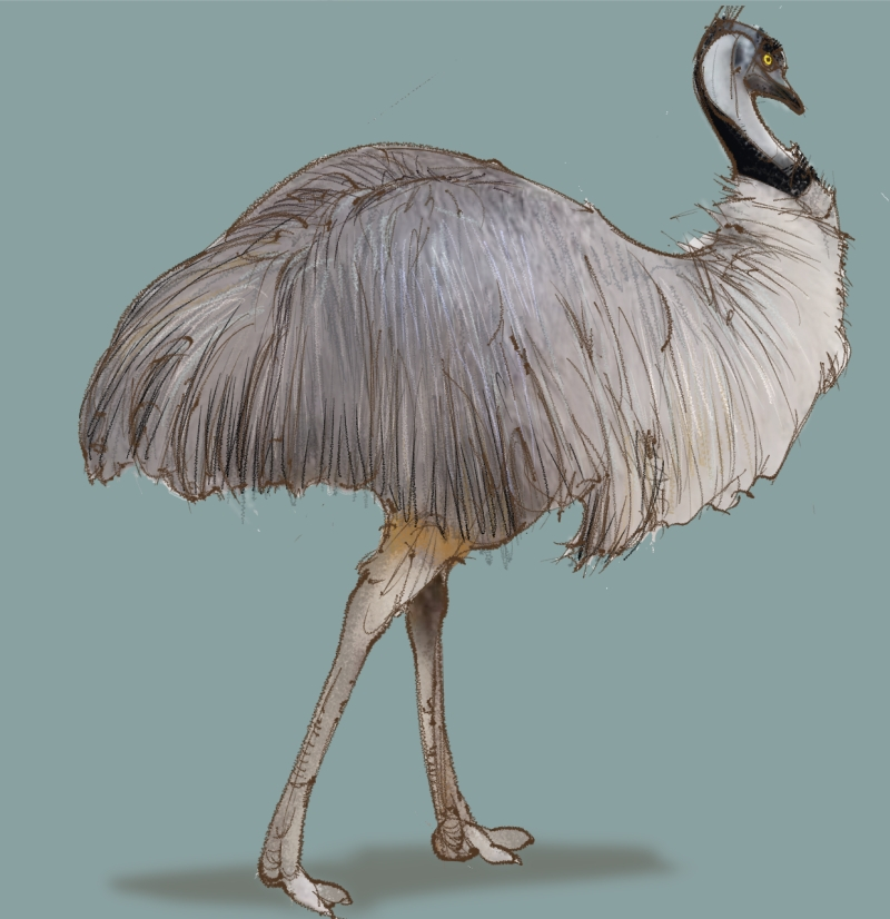 実家にあったサイン色紙です。イラストとサインがありますが、どなたの