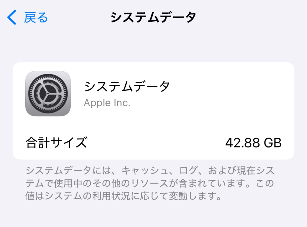 システムデータが42GBあります。 DLや写真撮影をしていなくても勝手に容量が増えていきます。 どうしたらいいのでしょうか？ よろしくお願いします