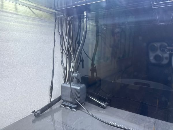 大型水槽で上部フィルター使用時のヒーターの位置ってみなさんどんな 