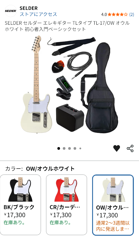 初心者用のSELDERというメーカーのギターを買おうか悩んでます入門用に