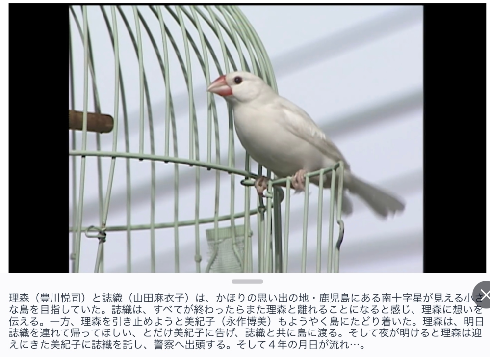 この鳥の名前（種類）を教えてください。 - （白文鳥）です。 - Yahoo