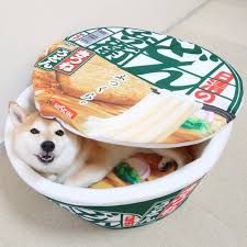 犬はうどんが好きなのですか？
