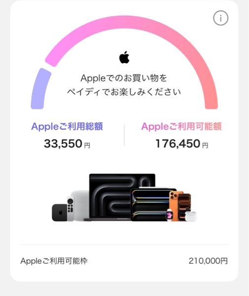AppleStoreでペイディで決済しようとするとアプリをインスト