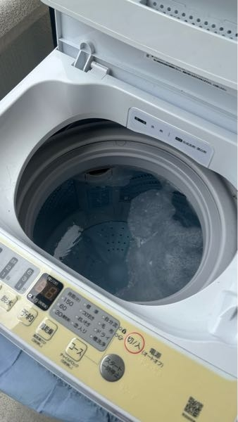 洗濯槽のカビわかめを掃除したく、2ヶ月に1回程度でわかめが服に付着