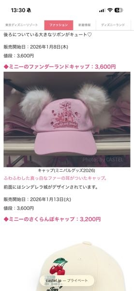 6月中旬にディズニーランド行くんですけど、下の画像ミニーのファン