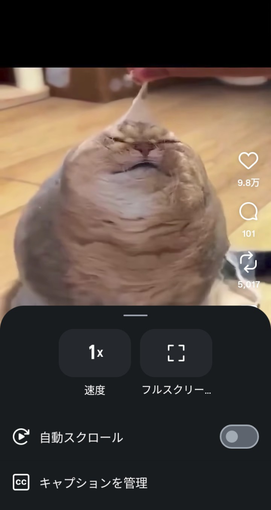 取引出来なかったため再度掲載  リール インスタのリールで長押しをしてもこの表示が出てきて一時停止すること