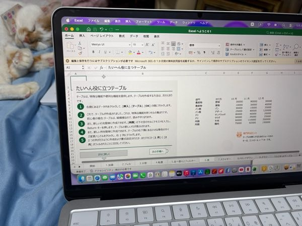 Excelについての質問です - ExcelのMac永久版を購入し、ダウンロ