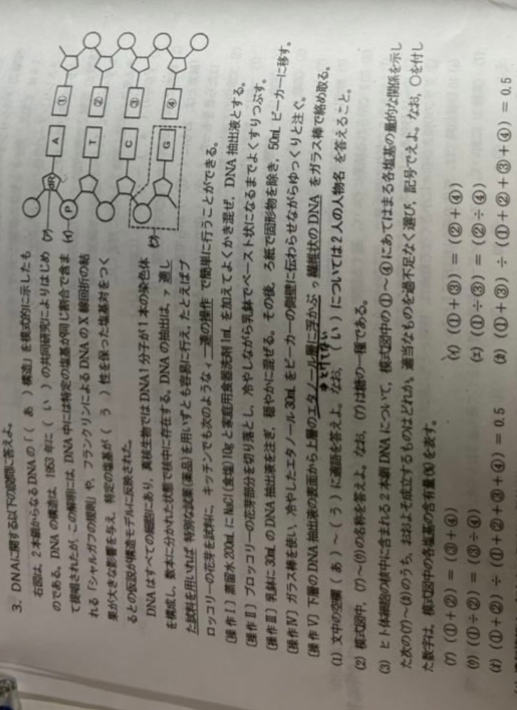 至急回答お願いします！画像の(3)について解答がイ、ウ、エ、カになり