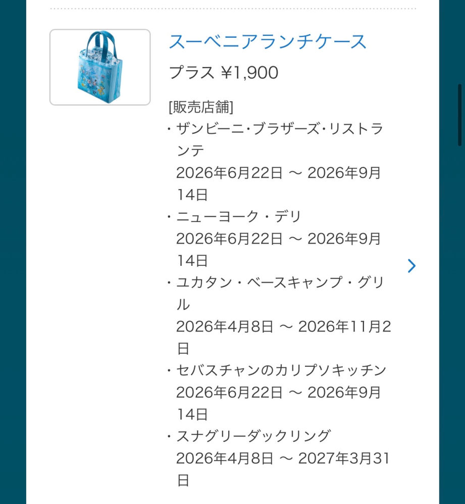 メルカリなどフリマアプリで買って失敗した事や失敗した物はありま