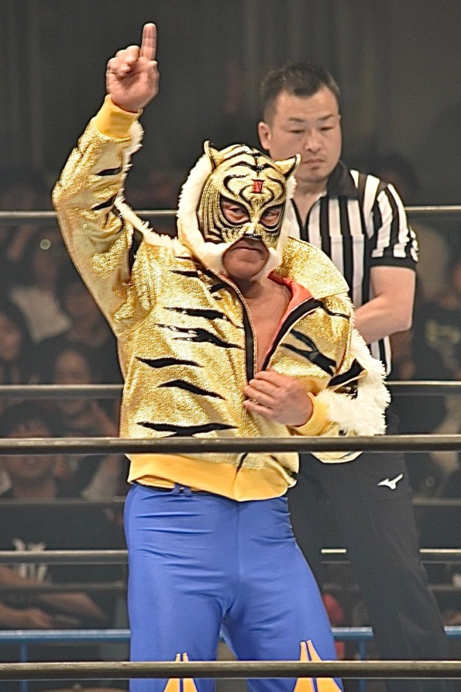 ヒクソン・グレイシーVSアントニオ猪木どちらが強いでしょうか