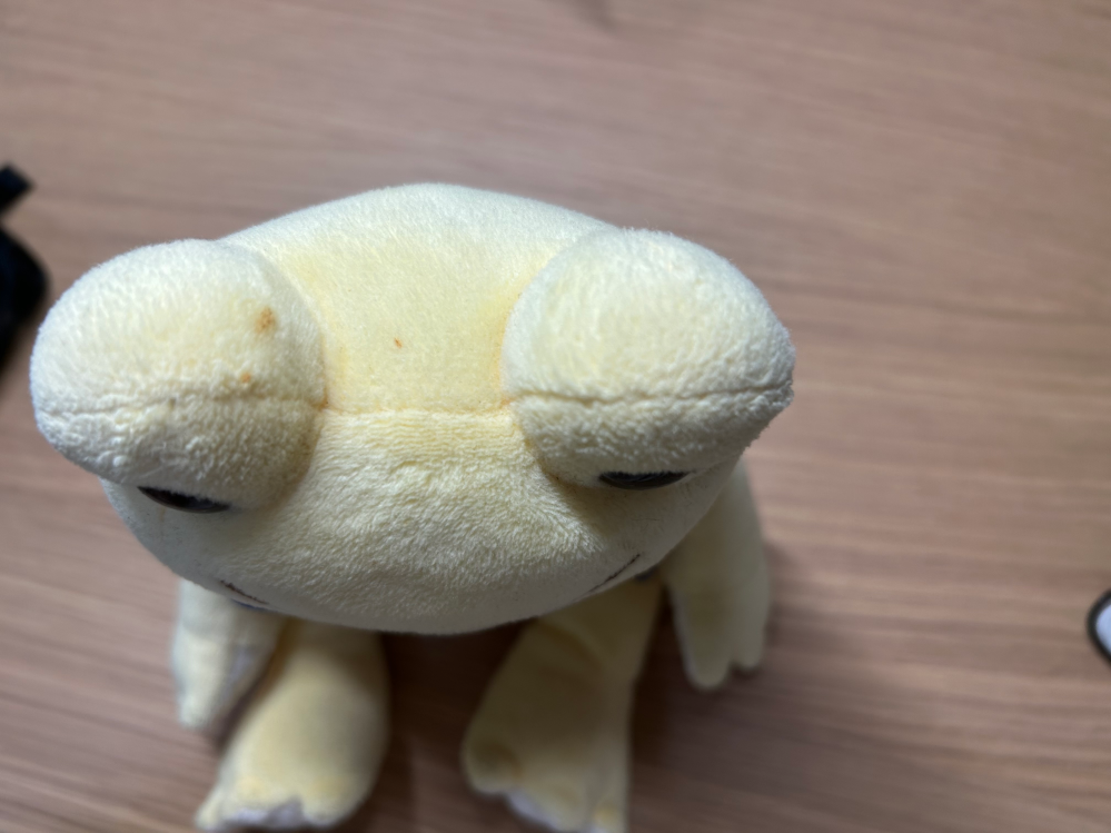 数年クローゼットに入れて放置してしまっていたぬいぐるみに、画像のよ