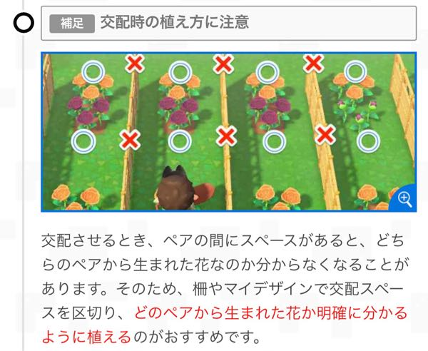 あつ森青バラ交配について。オレンジbと紫bでオレンジcを作る際、オ