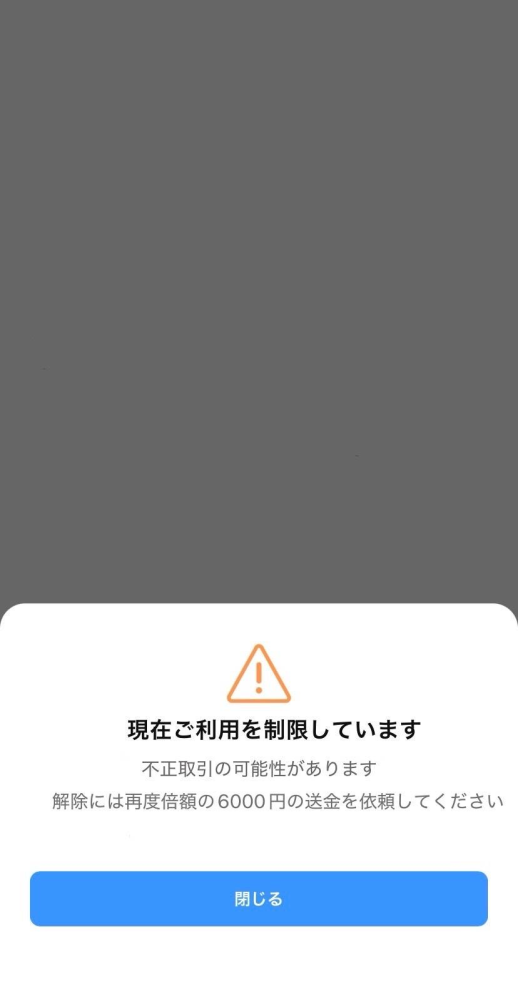Xにてグッズ代行を依頼してPayPayのリンク送ったところ、制限がかかっ