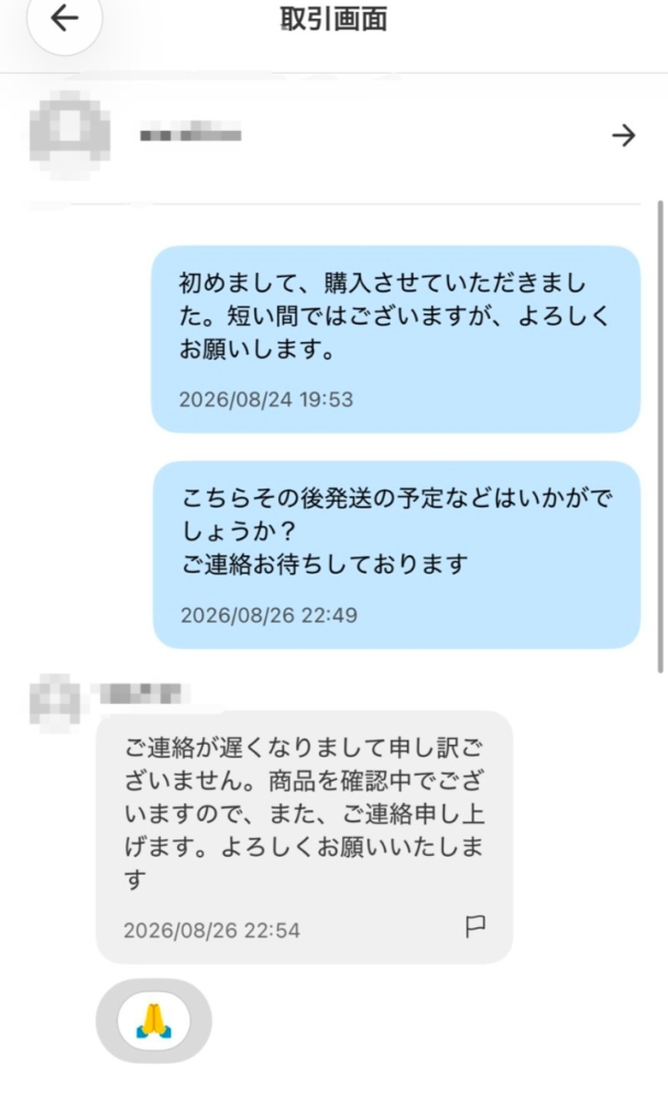 メルカリであるものを購入した者です。特に即購入OKなどの言葉はなかっ