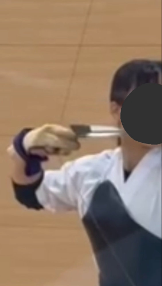黒田鉄山先生松田隆智先生甲野善紀先生いずれも武術をひろめた人ですが