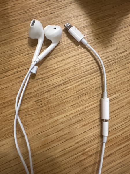5日前SONYのWF-1000XM5の右側のイヤホンを外でなくしました