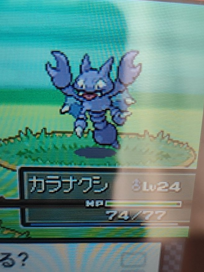 ポケモンGOプラスプラスを洗濯機に入れてしまい、1日経って充