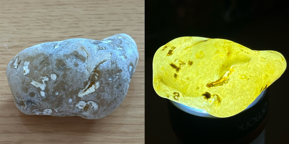 茨城県の海岸で拾った石ですが、何かわかる方教えてください。白っぽい