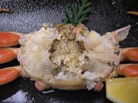 食べてはいけないとされているカニのエラ 通称ガニ を食うとどうなりますか Yahoo 知恵袋