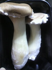 期限 エリンギ 賞味
