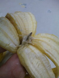 バナナを普通にむいて食べたとき 最後のお尻のところに 黒い鉛筆の芯のようなも Yahoo 知恵袋