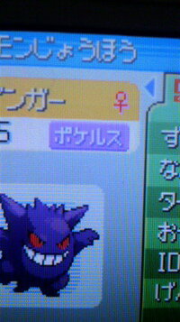 ポケモンについてです ポケルスになる確率と色違いに遭遇する確 Yahoo 知恵袋