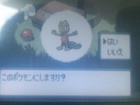 最初のポケモンの性別について ソウルシルバーを買いました 最初のポケモン Yahoo 知恵袋