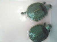 月15万円で 一人暮らしをする事は可能ですか 将来 トリマ Yahoo 知恵袋