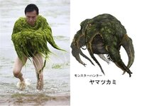 大至急 今モンスターハンター2gのヤマツカミで苦戦しています そこで質問 Yahoo 知恵袋