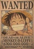 ワンピースの手配書のオリジナルを作ることができるソフト もしくは Yahoo 知恵袋